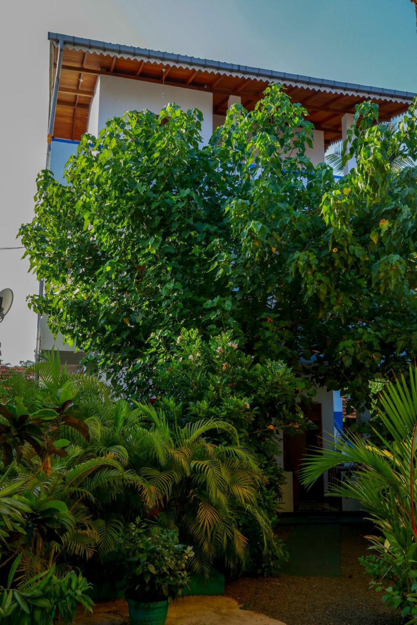 The King Apartment Hikkaduwa Exterior foto
